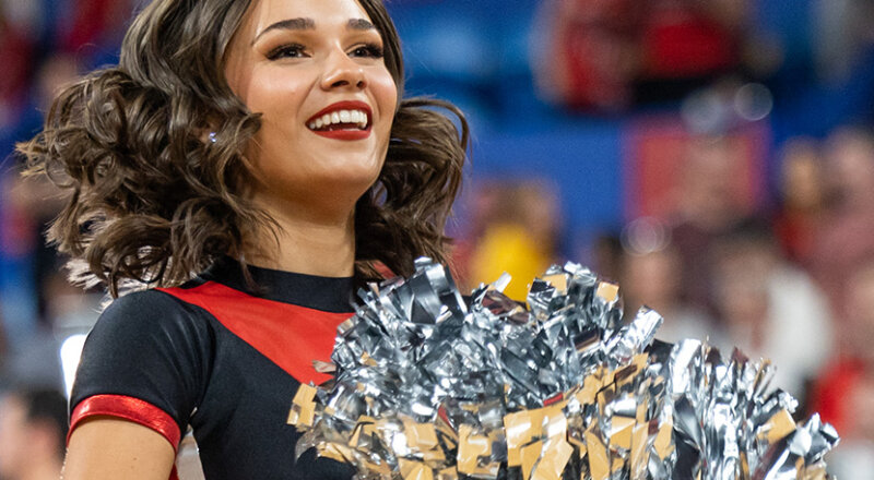 Perth Wildcats vs South East Melbourne Phoenix Image