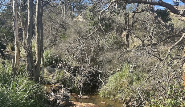 5 Of The Best Walking & Hiking Spots In Perth Image