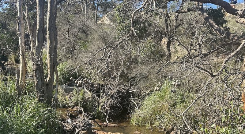 5 Of The Best Walking & Hiking Spots In Perth Image