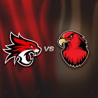 Perth Wildcats vs Illawarra Hawks Image