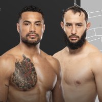 UFC Fight Night Image