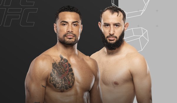 UFC Fight Night Image