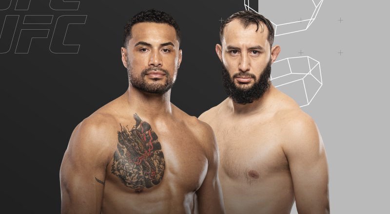 UFC Fight Night Image