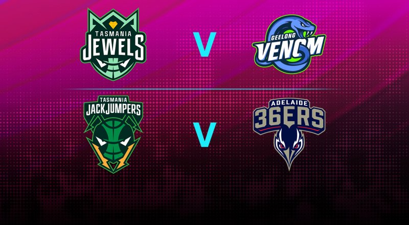 HoopsFest Day 4 Image