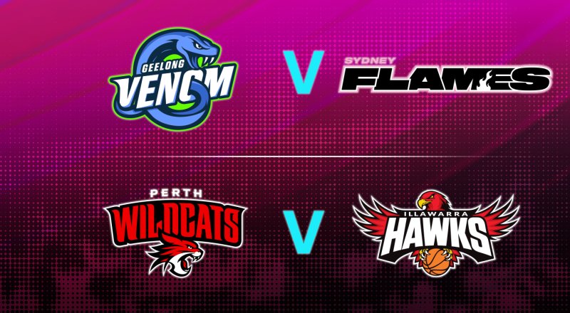 HoopsFest Day 2 Image