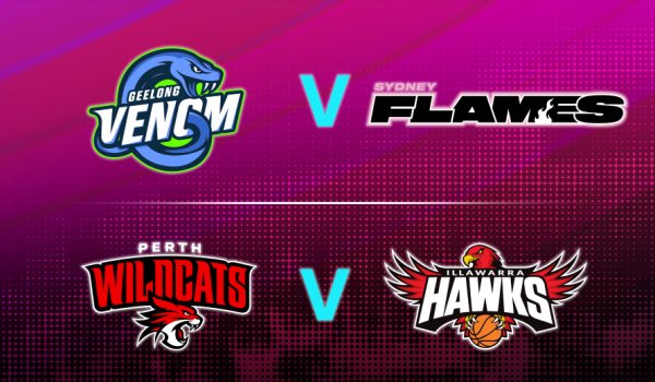 HoopsFest Day 2 Image