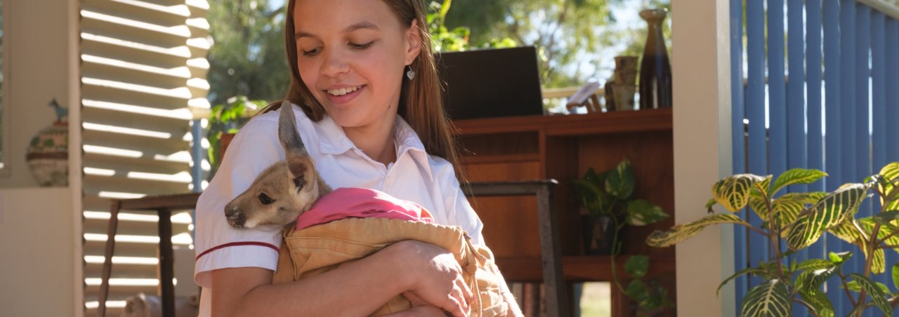 Kangaroo Movie Competition Image