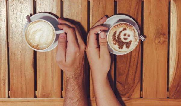 Pre-event Coffee in Perth? Here Are The Best Coffee Shops Near RAC Arena Image