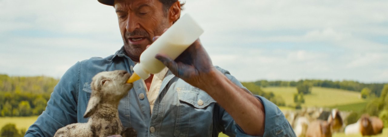 The Sheep Detectives