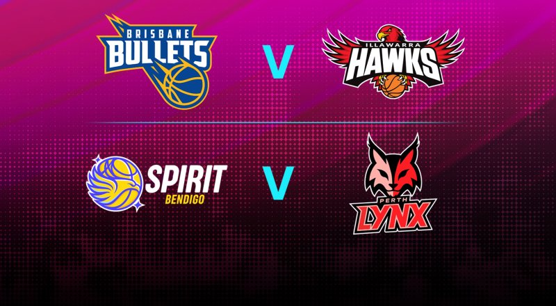 HoopsFest Day 5 Image
