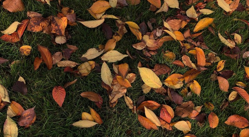 Things To Do During Autumn In Perth Image