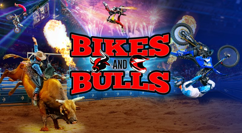 Bikes and Bulls Image